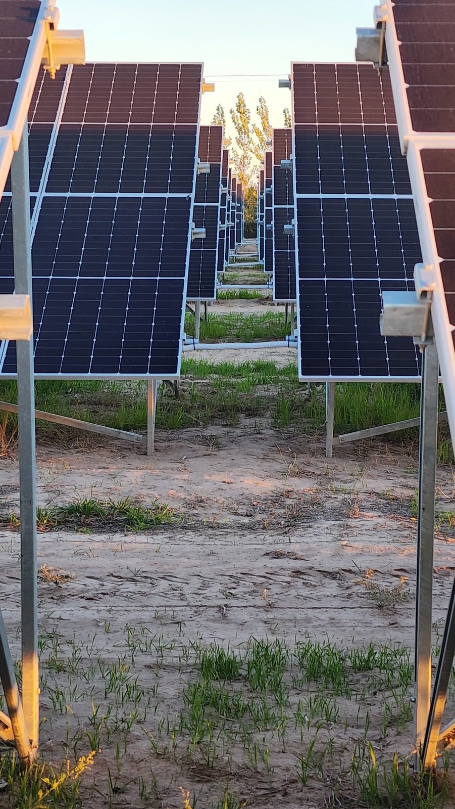 Hileras de paneles solares en parque fotovoltaico